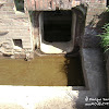 dsc06916.jpg