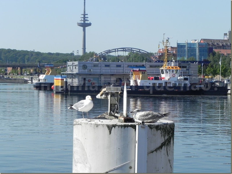 Kiel 4 Kiel 4