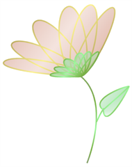 flower-sample-white flower-sample-white