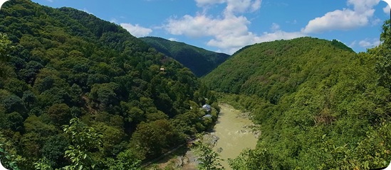 R0017654