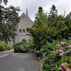 DSC_4656.jpg