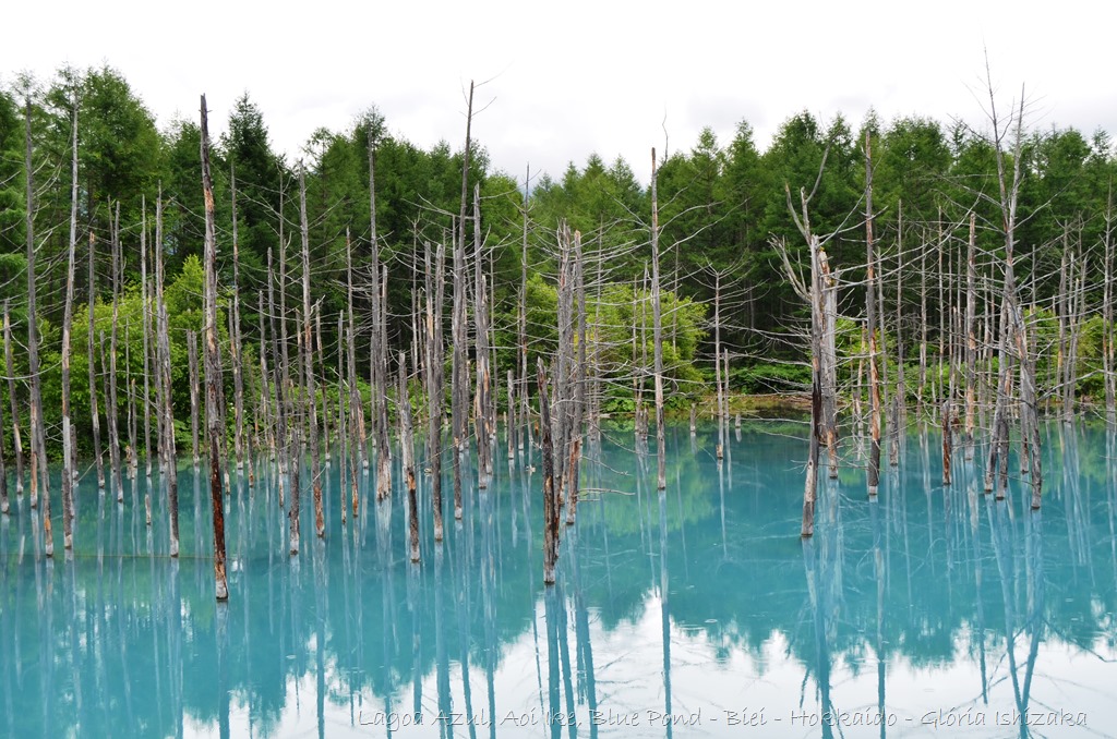[Lagoa%2520Azul%2520-%2520Biei%2520-%2520Hokkaido%2520-%2520Gl%25C3%25B3ria%2520Ishizaka%2520-%252020%255B3%255D.jpg]