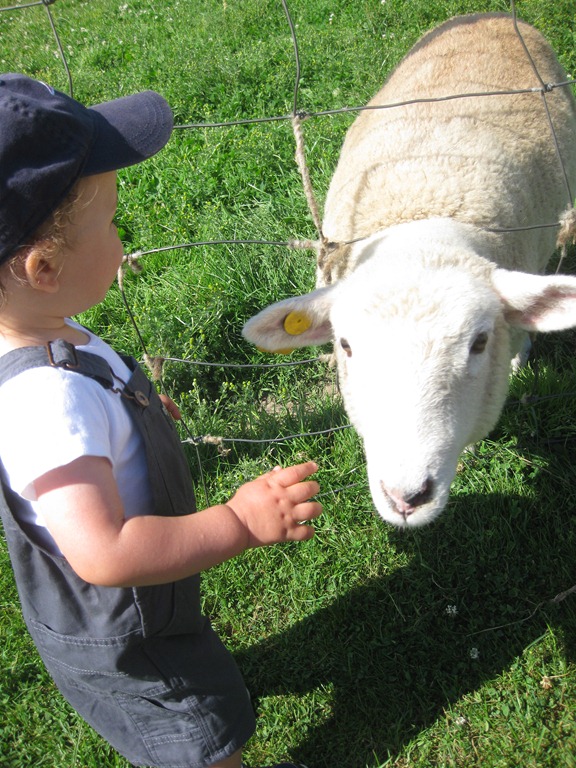 [2012.06.24%25204-Petting%2520Zoo%2520%252818%2529%255B4%255D.jpg]