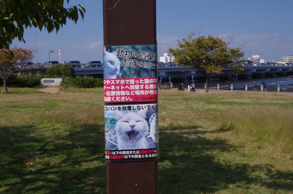 [IMGP3065%255B3%255D.jpg]