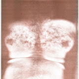 torso scans_Page_05.jpg