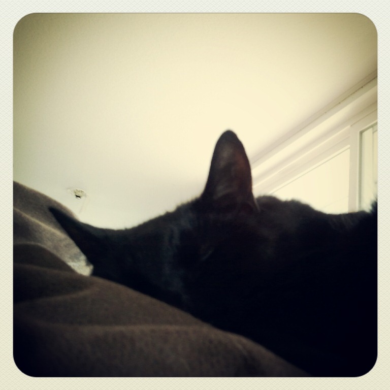 [IMG_20120519_173142%255B2%255D.jpg]