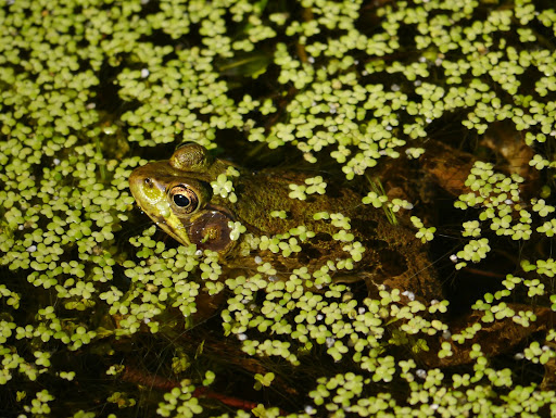 P1080055
