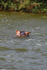 IMG_5445.JPG