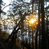 Sunrise on the climb up Gunung Mutis (Daniel Quinn, August 2011)