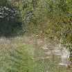 IMG_8106_edited-1.jpg