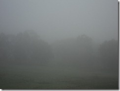 014 014