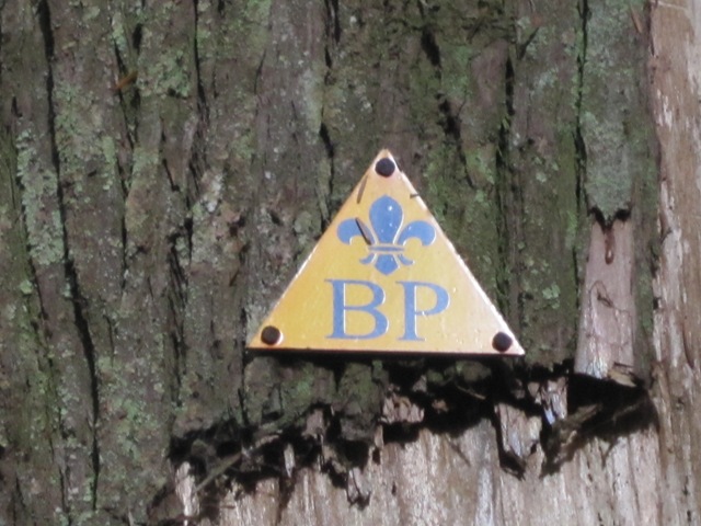 [IMG_6068%255B3%255D.jpg]