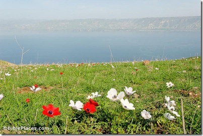 Sea of Galilee from west, tb022107099