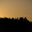 DSC_1189.jpg DSC_1189.jpg