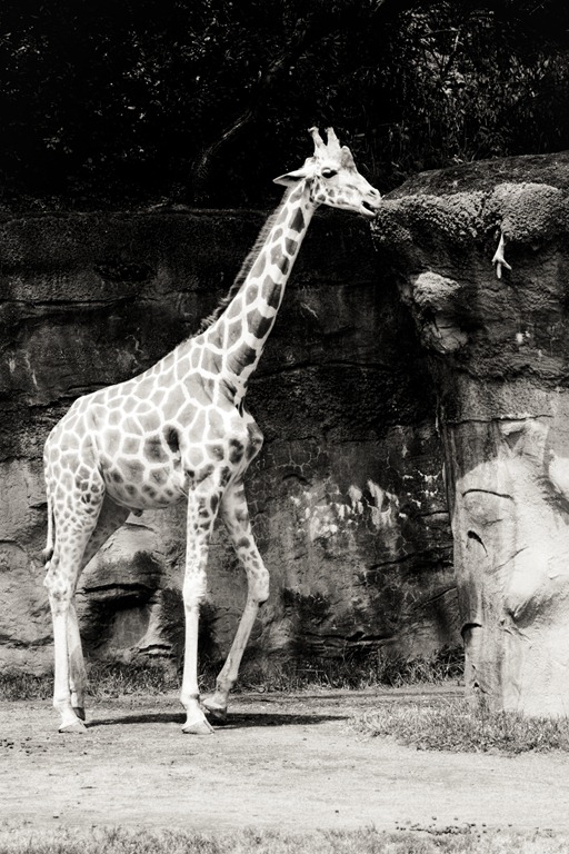 [20120716-IMG_68123.jpg]