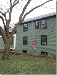 IMG_1295 IMG_1295