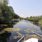 DSCN8326.JPG