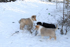 _DSC0046.JPG