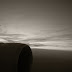 R0028385.JPG