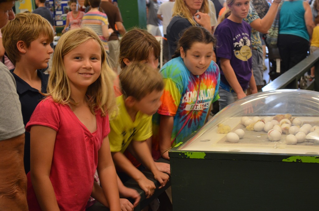 [DSC_2451%255B3%255D.jpg]