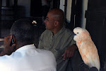 IMG_7344.jpg