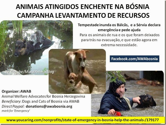 Animais-bosnia
