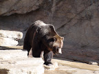 denver_zoo
