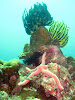  Koh Lipe Resimleri Fotoğrafları