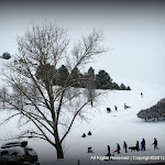 IMG_7952.JPG