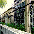 DSCF2647.JPG