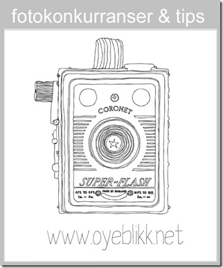oyeblikk logo
