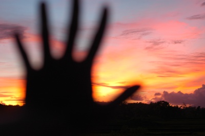 reaching for the sky