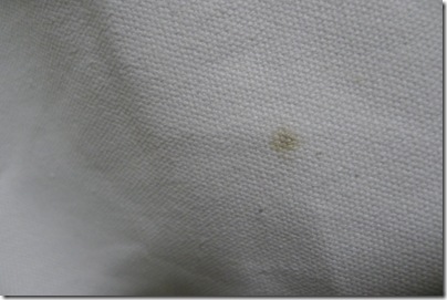 stain on white bag