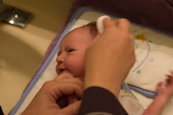 Sam getting her first bath.  She took it surprisingly well.