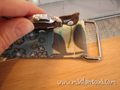 IMG_6488 IMG_6488