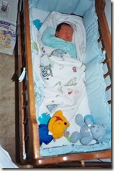 Matthew 1999 10