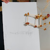 BILD0246.JPG