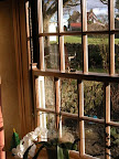 Oak sash window