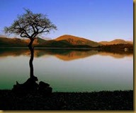 serenity-landscape serenity-landscape