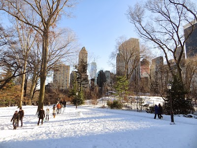 Snowy Central Park IMAGE_610.jpg