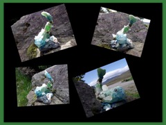 Collages19-1