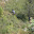 PH088374.JPG
