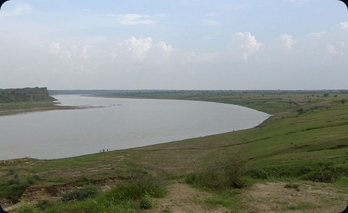 Gharial Chambal_river_near_Dhaulpur,_India