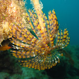 Bergeggi 2011