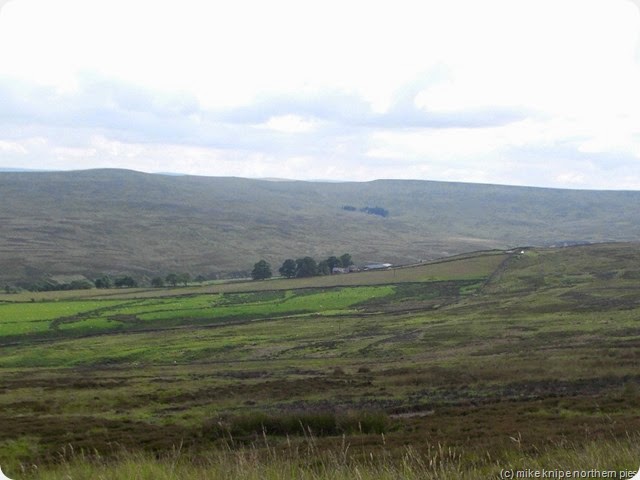 view to crow coal hill