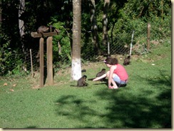 IMG_0426 IMG_0426