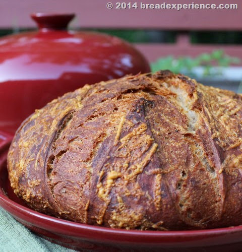 Sourdough Asiago Rosemary Spelt Bread baked in Emile Henry Bread Cloche