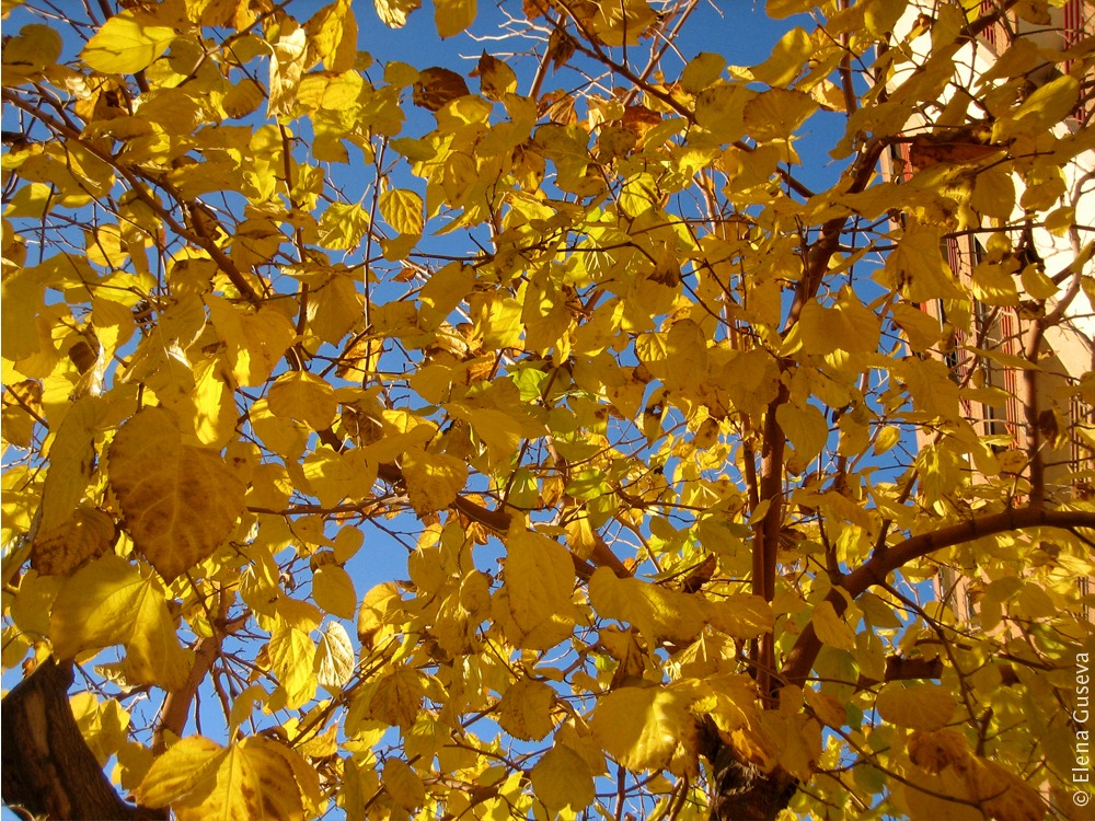 [105%255B8%255D.jpg]