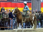 Público admirado por la destreza de caballos y jinetes