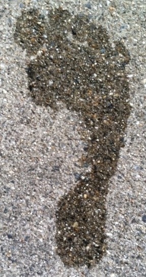 [wet-footprint-test3.jpg]